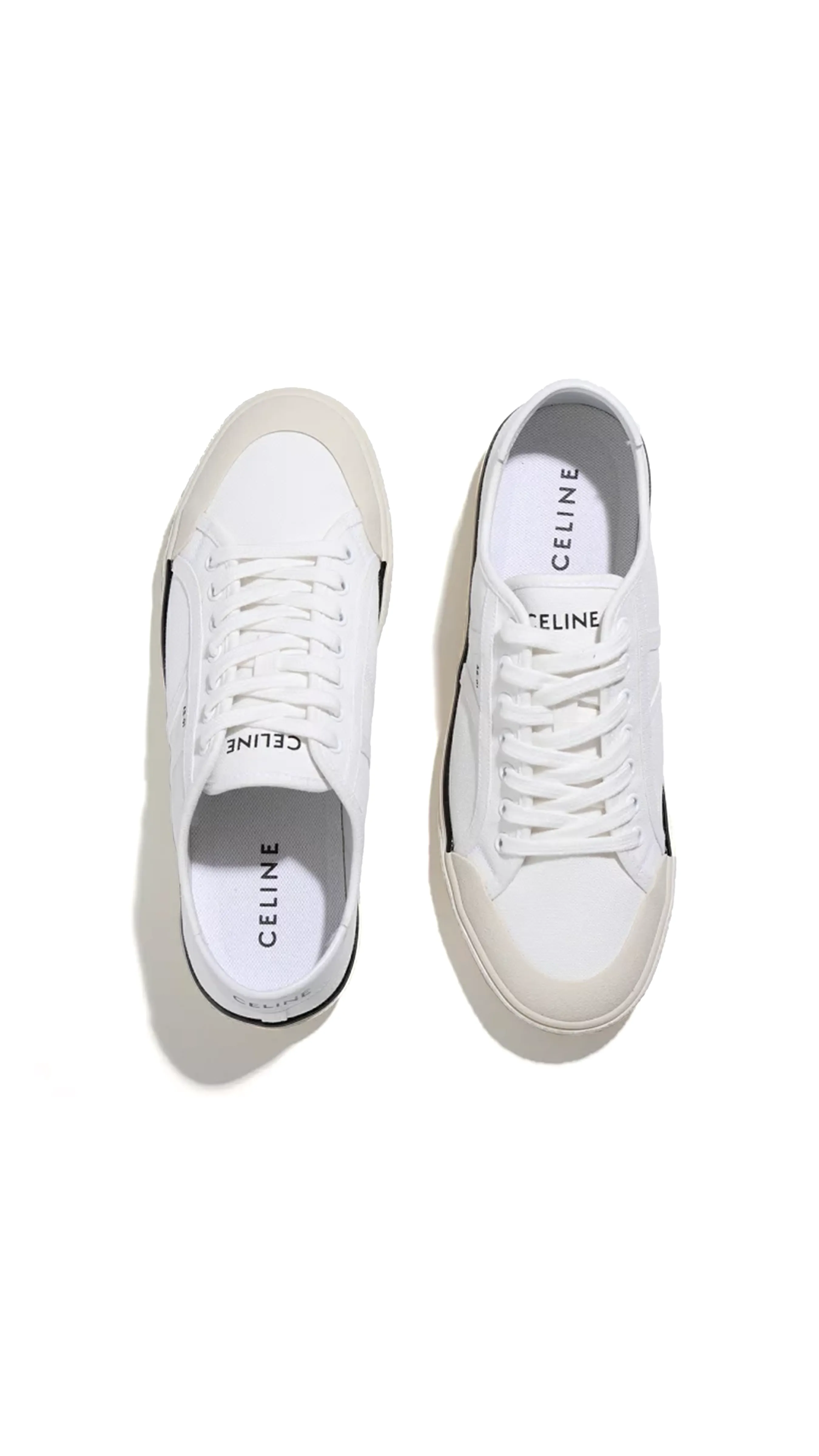 AS-01 Low Lace-Up Celine Alan Sneaker in Canvas & Calfskin - White