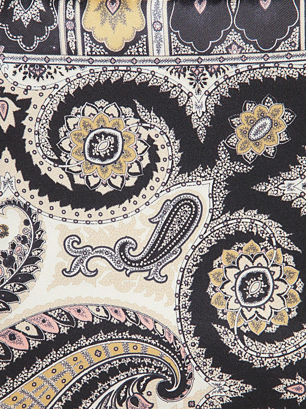 Etro Paisley Printed Finished Edge Scarf