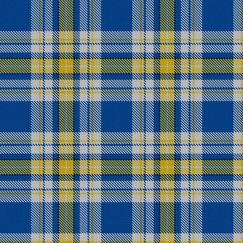 Fine Lambswool Scarf (Ukraine Forever Tartan)