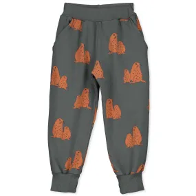 Lotie Kids Seals Anthracite Joggers