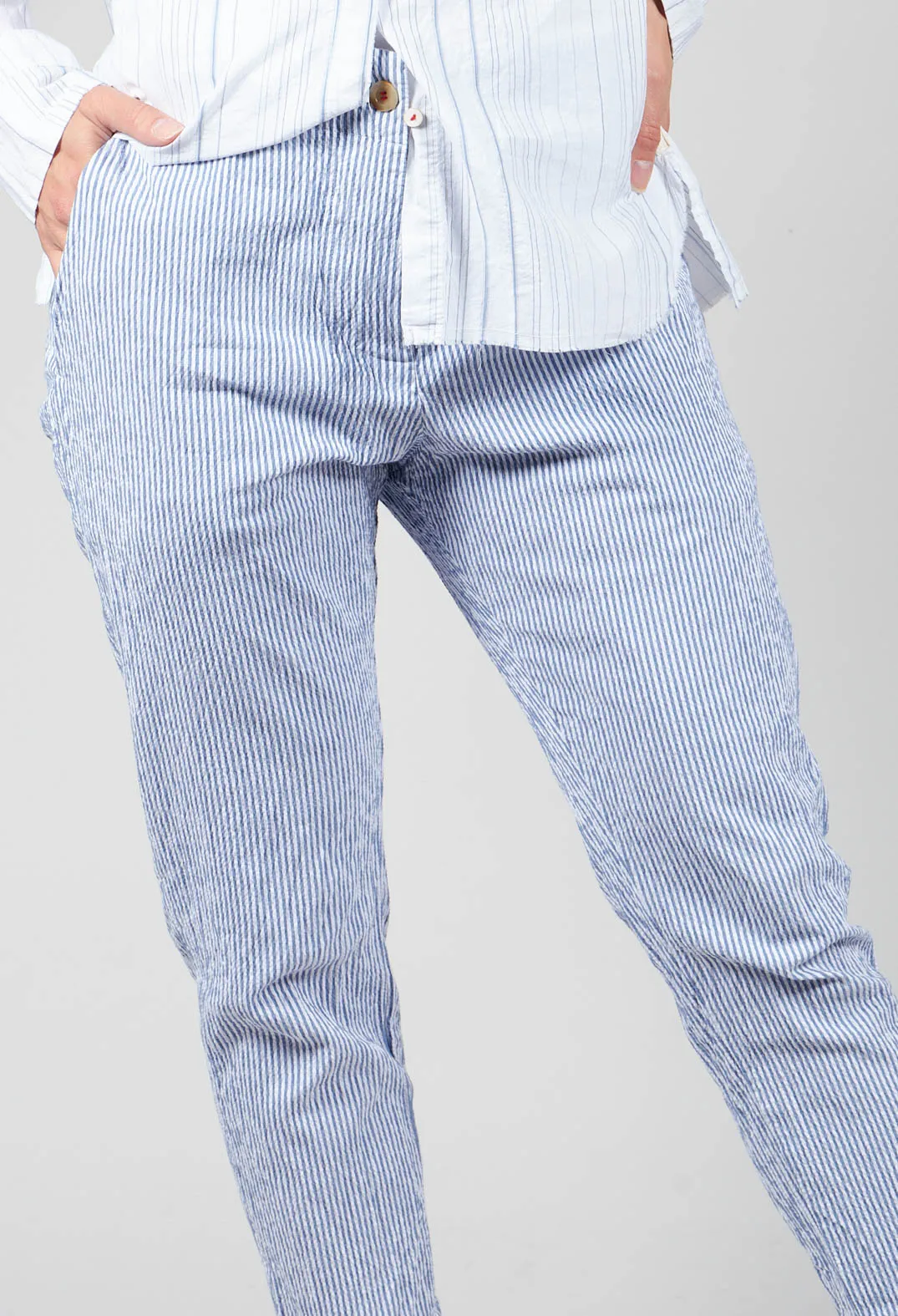 Poly Trousers in Blue Stripes