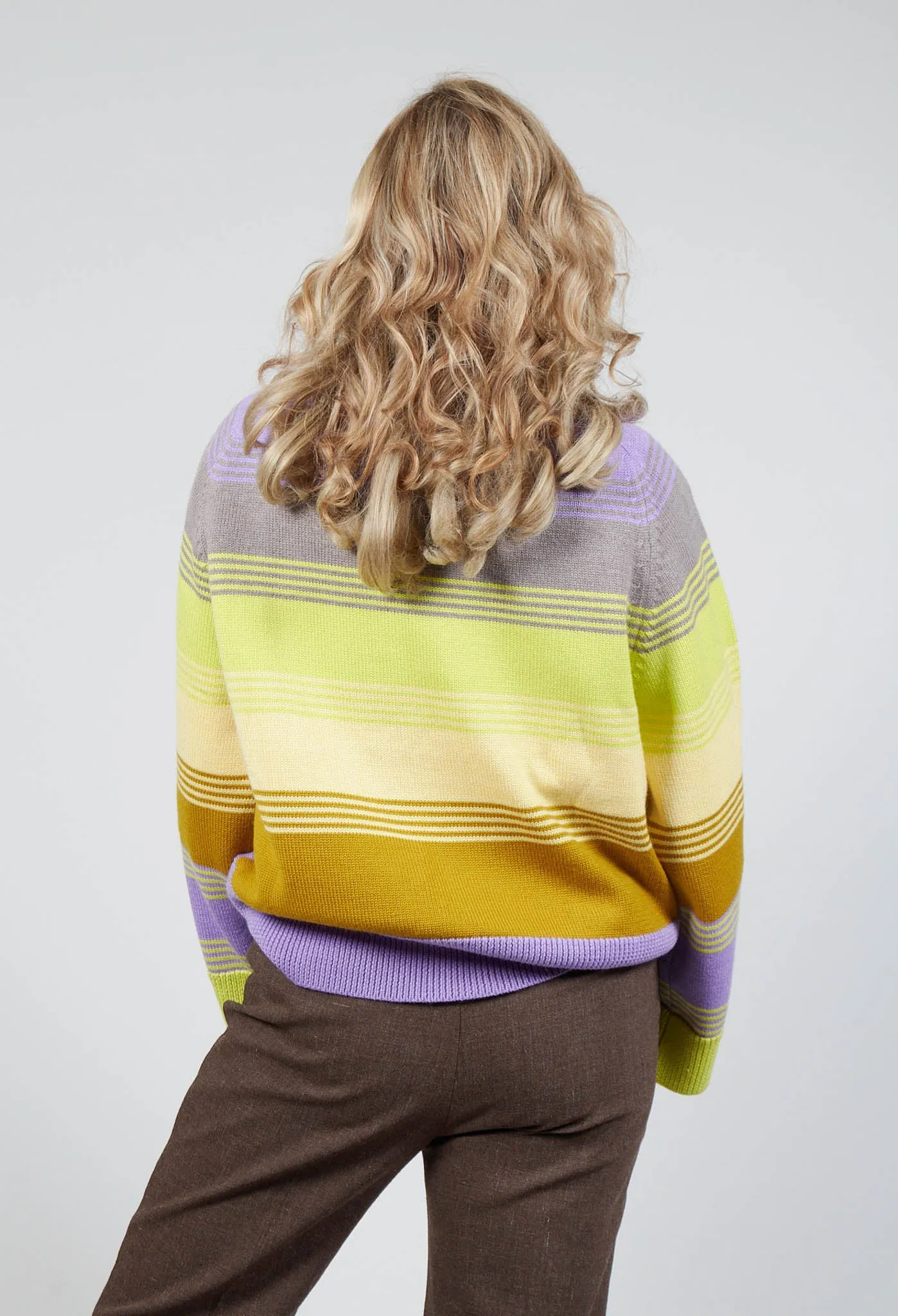 Wool Striped Jumper in Violet